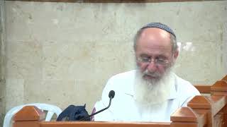 הארץ היא בצלם האדם – שיעור 134 – ספר במדבר