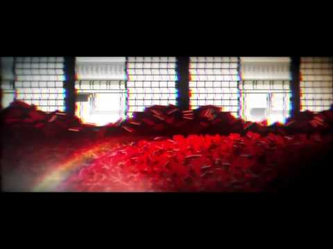 Labyrinth video