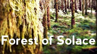 Gareth J. Rubery ✪ Forest of Solace ✪ Piano Piece ✪ NEW Videos &amp; Music at garethjrubery.com
