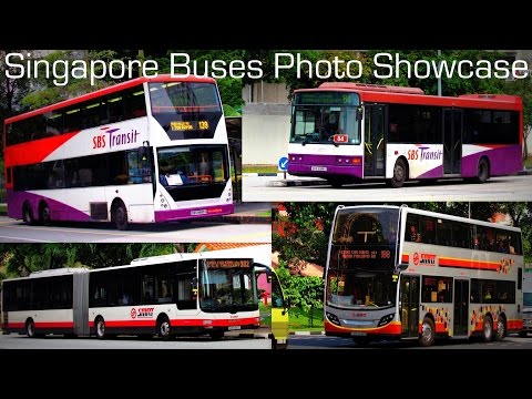 Singapore Buses Photo Showcase 2014