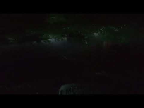 El Moralito Municipio Colón Estado Zulia Venezuela 🇻🇪. 17/10/2025. 