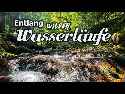 Unterwegs im Nationalpark Schwarzwald: Entlang wilder Wasserläufe.