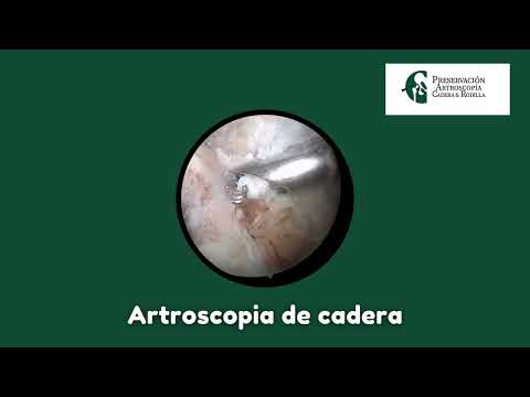 Miguel E. Fernández Castillo-6