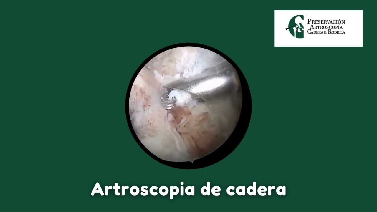 Miguel E. Fernández Castillo-6