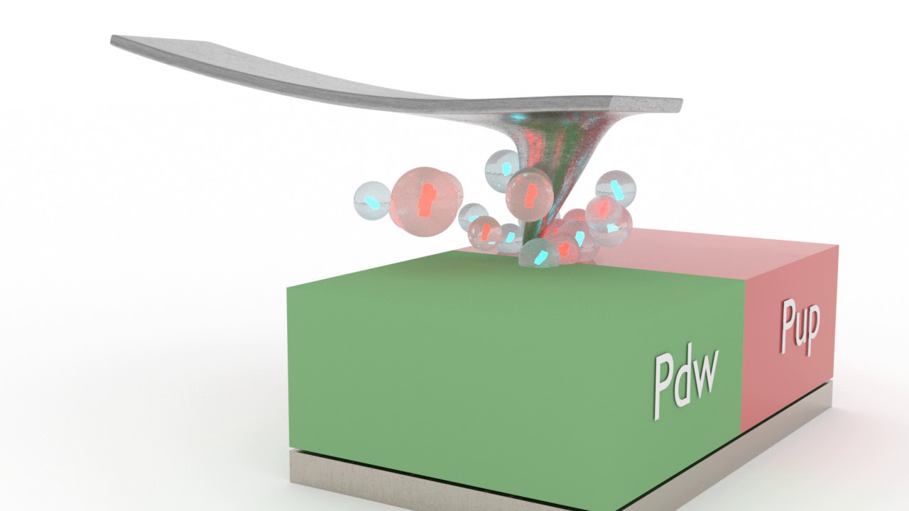 DPFM crossing anti-parallel ferroelectric domain configuration