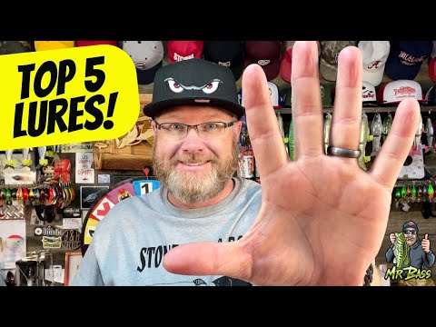 Top 5 Lures You Need for Bank Fishing - beginner tips