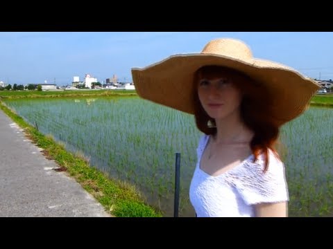 A Morning Walk in Japan 【朝の散歩・日本】 日英字幕 (A Morning Walk in Japan 【朝の散歩・日本】 日英字幕)