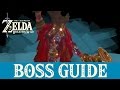 Breath of the Wild — How to Defeat Thunderblight Ganon