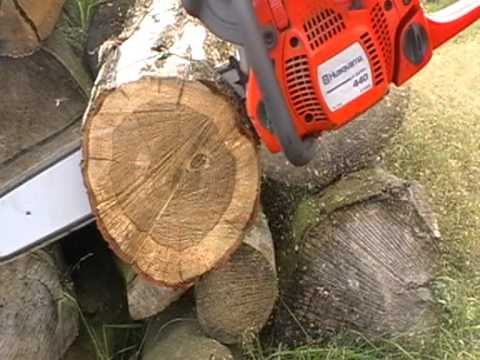 Forstschule.com: Schnitttechnik - Einsatz des Krallenanschlags beim Sägen