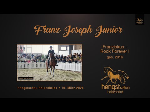 Franz Joseph Junior *2016 - Präsentation Hengstschau 2024