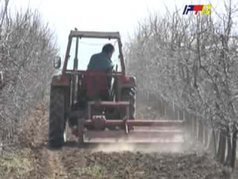 RTV Vranje   Radovi u vocnjacima 14 03 2014