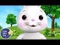 Bunnies Bunnies Little Baby Bum Cartoons And Kids Songs Songs For Kids Easter Special