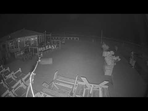 De Haven van Zandvoort live