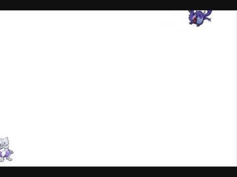 Shadow Lugia VS Mewtwo