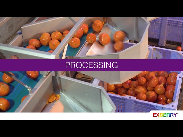 imagen-video-thefoodtech