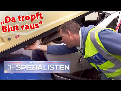 Blutige Entdeckung!🩸 Befindet sich eine Leiche in der Dachbox vom Auto?!😱 | Die Spezialisten | SAT.1