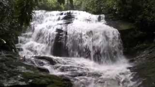 preview picture of video 'Merry Falls, Brevard, NC'