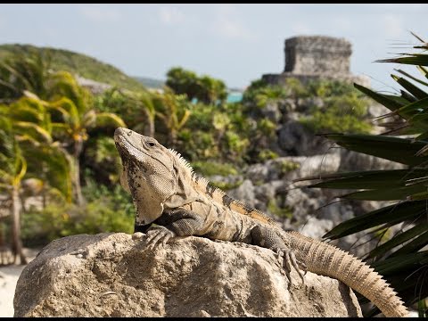 Maya route 2012 (Mexico - Guatemala - Honduras - Belize)