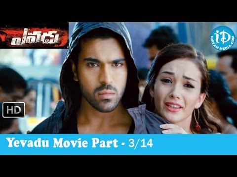 Yevadu Movie Part 3/14 - Ram Charan Teja - Shruti Haasan - Kajal Agarwal