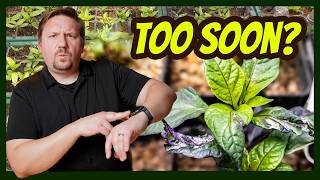 When NOT to Start Seeds Indoors