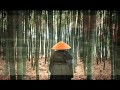 Птаха - Осень 
