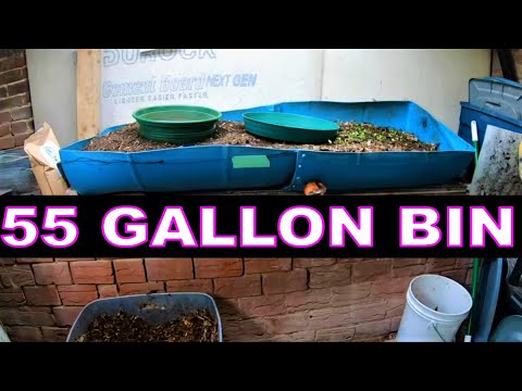 Huge Worm Bin and Wormery Secrets