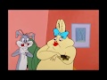 Millicent The Slobovian Rabbit