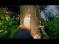Men S Feet Walk On Wood