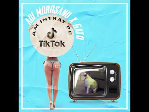 Adi Morosanu X GATO  - Am intrat pe TikTok █▬█ █ ▜▛ 2020