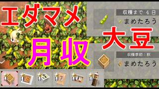【ほの暮しの庭】エダマメ・大豆から作れる加工品まとめ醤油など攻略実況