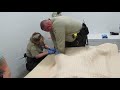 Jail Video Gloria DR18038106 3
