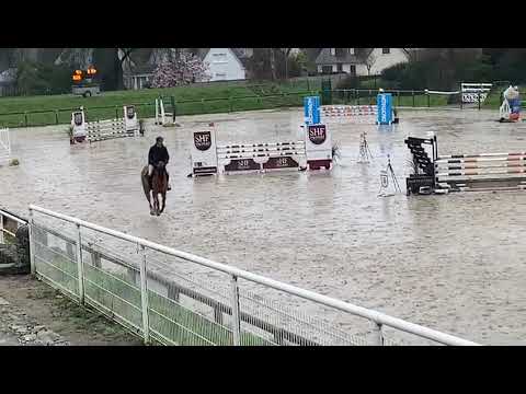 FIFTY FIFTY SEMILLY (Diamant de Semilly x Heartbreaker) 5ans/5YO - mars 2020