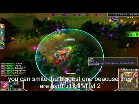 Vi jungle guide season 3