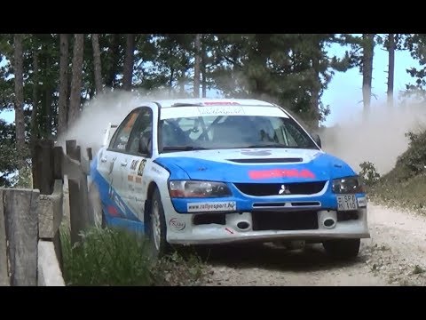 24. TAXI4 Veszprém Rallye 2017 by RSV.hu