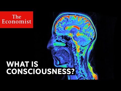 , title : 'What is consciousness?'
