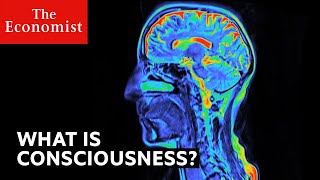 What is consciousness?