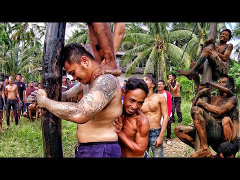 Lomba Panjat Pinang 17 an Dirgahayu Republik Indonesia 78 Desa Sungai Pangkalan II