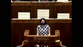 Vystúpenie v parlamente k programovému vyhláseniu vlády