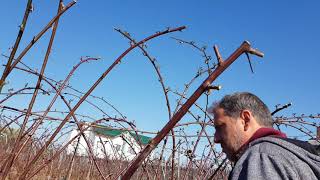 2021,cum am tăiat și ce am făcut cu resturile🤔🙄😁😎