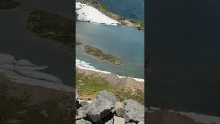 HEALING TIME in forest