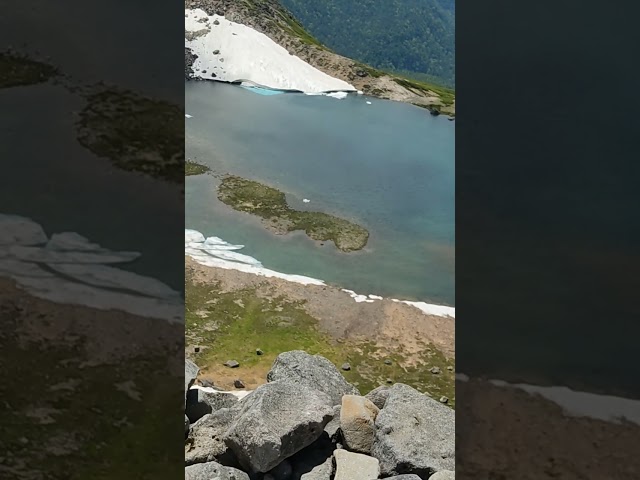 HEALING TIME in forest