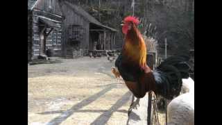 Steely Dan - Any World That I&#39;m Welcome To - Marcus Amphitheater, Milwaukee, WI - 2006-07-07