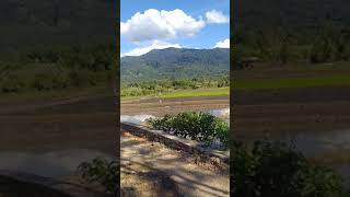 Download lagu Pembangunan jalan tanah sirah- timbalun ( Padang) (27102022) mp3