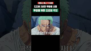 드디어 2년전 쿠마의 시점 루피를 위한 조로의 각오 ㄷㄷ#원피스 #shorts