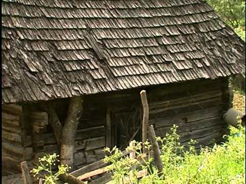 buda andrei si buda marius