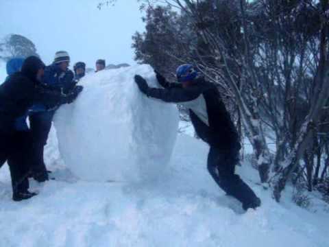 GIANT SNOWBALL destroys tree