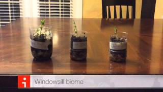 Paries Science Fair Experiment