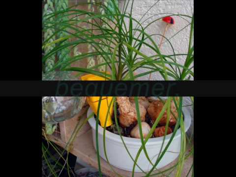 Superfill Haushalt und Garten