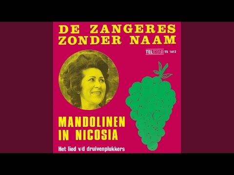 Mandolinen in Nicosia