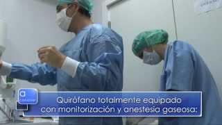 preview picture of video 'Clínica Veterinaria LC (Guadalajara)'